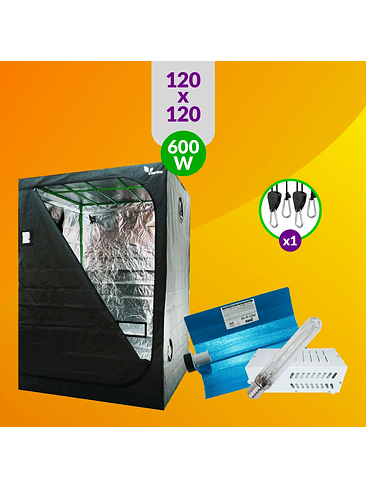 PACK BÁSICO ILUMINACIÓN SODIO 600W 1