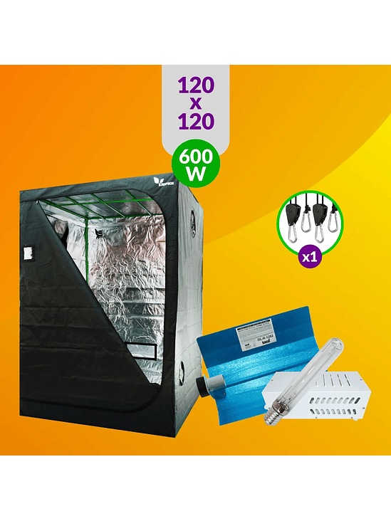 PACK BÁSICO ILUMINACIÓN SODIO 600W 1