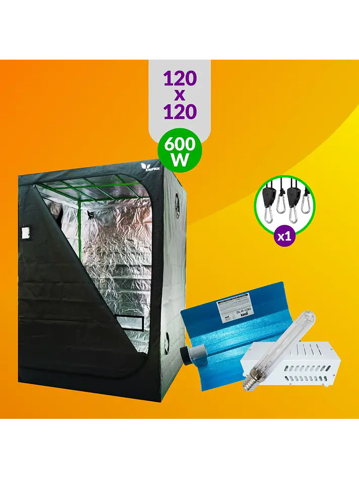 Pack Básico Iluminación Sodio 600W 1