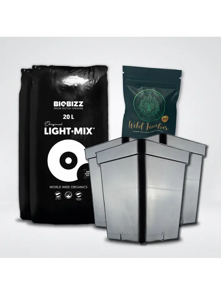 * Pack Light Mix 20Lt Y Macetas 11 Lt 1