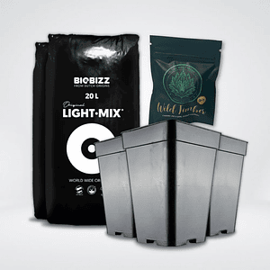 * Pack Light Mix 20Lt Y Macetas 7 Lt