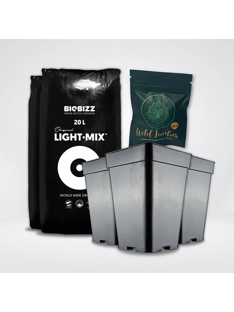 * Pack Light Mix 20Lt Y Macetas 7 Lt 1