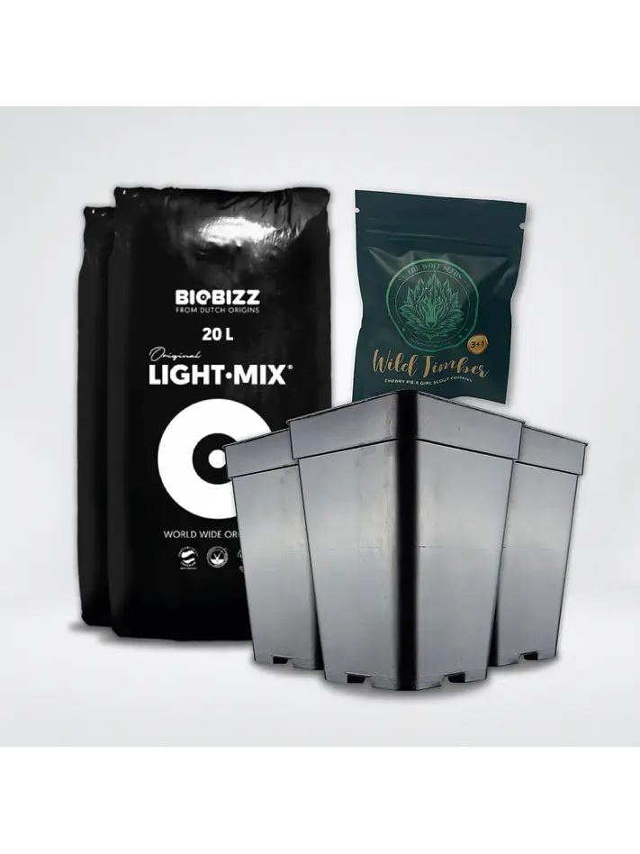 * Pack Light Mix 20Lt Y Macetas 7 Lt 1