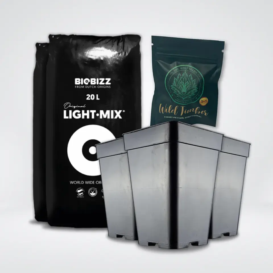 * Pack Light Mix 20Lt Y Macetas 7 Lt 1