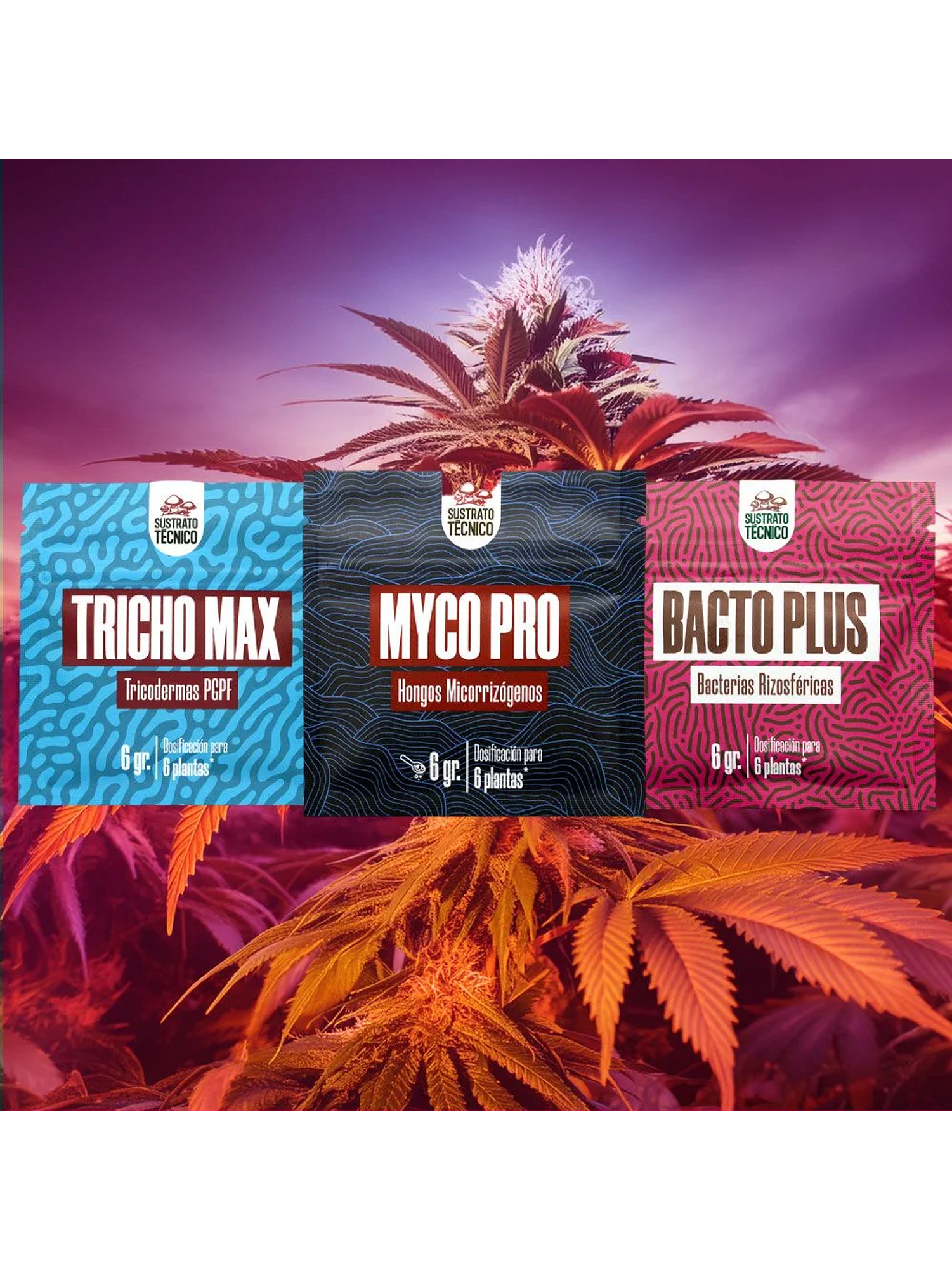 Pack Sustrato Tecnico 6Gr X3 2