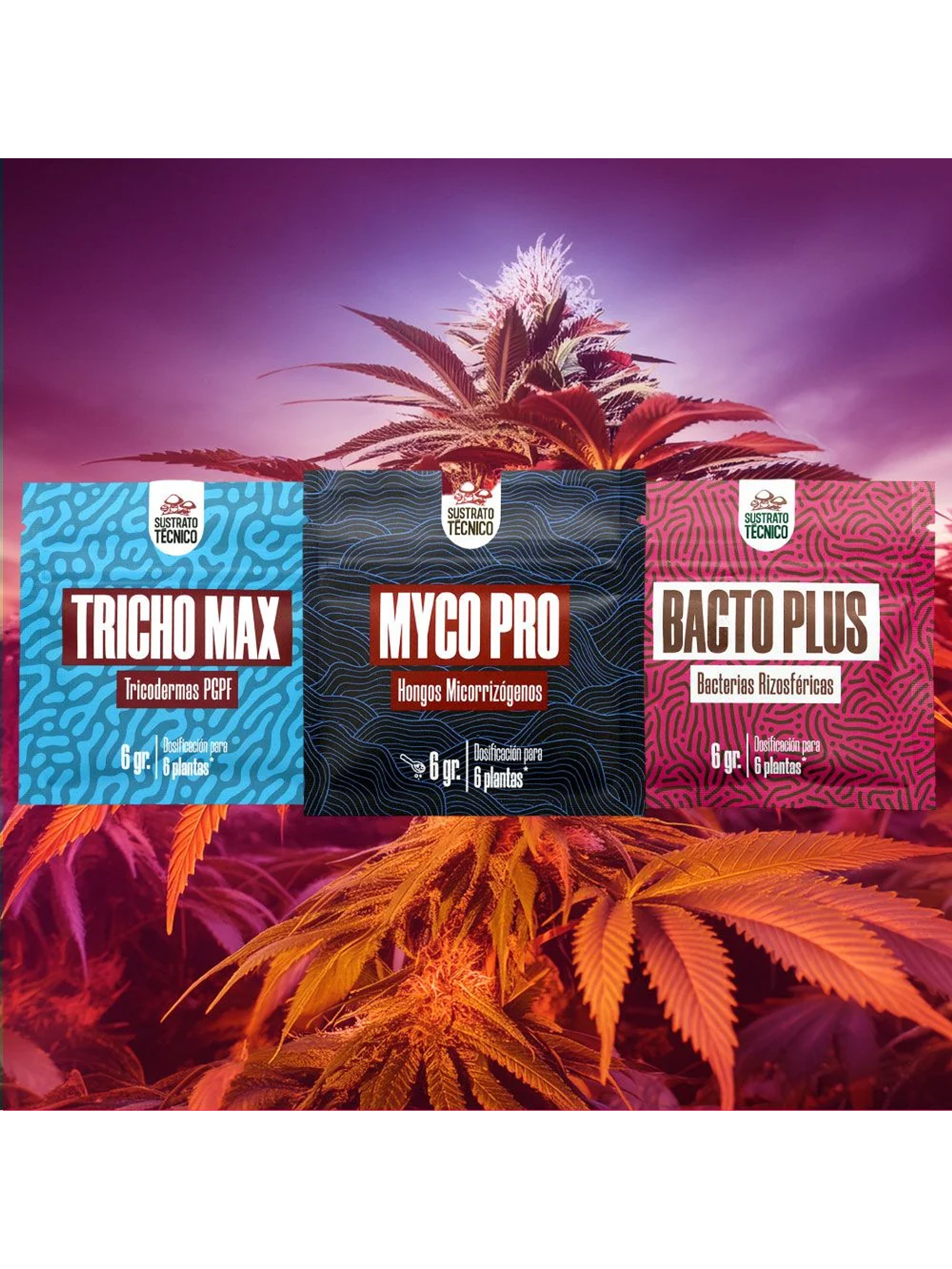 Pack Sustrato Tecnico 6Gr X3 2