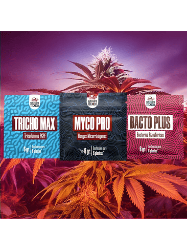 PACK SUSTRATO TECNICO 6GR X3 2