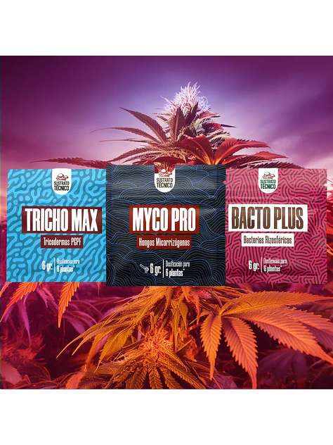 Pack Sustrato Tecnico 6Gr X3 2
