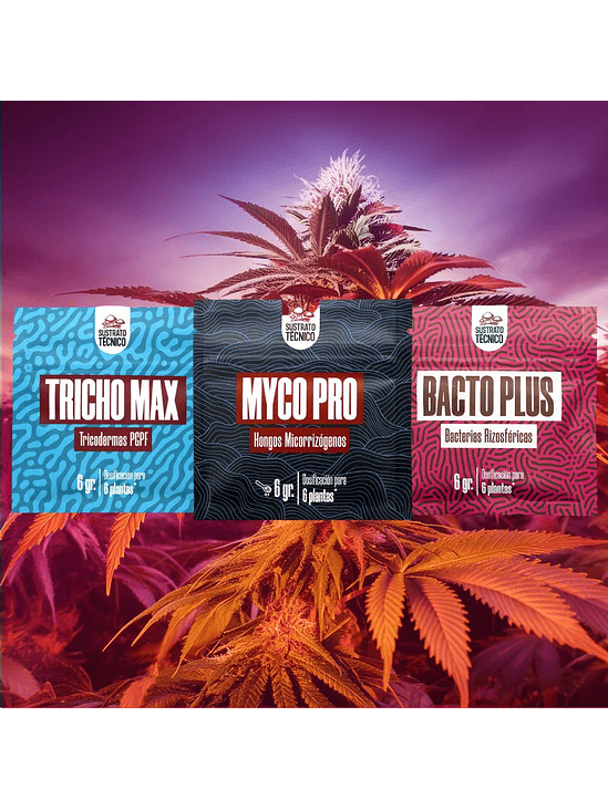 PACK SUSTRATO TECNICO 6GR X3 2