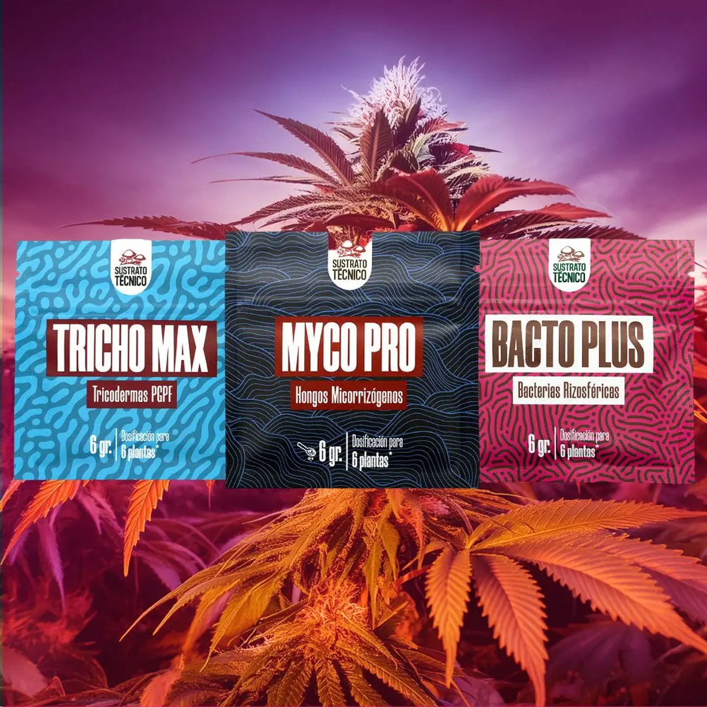 Pack Sustrato Tecnico 6Gr X3 2