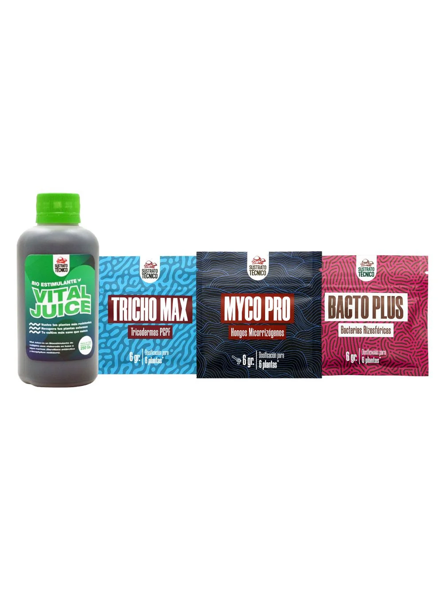 Pack Completo Sustrato Técnico 1