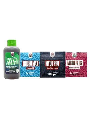 PACK COMPLETO SUSTRATO TÉCNICO 1