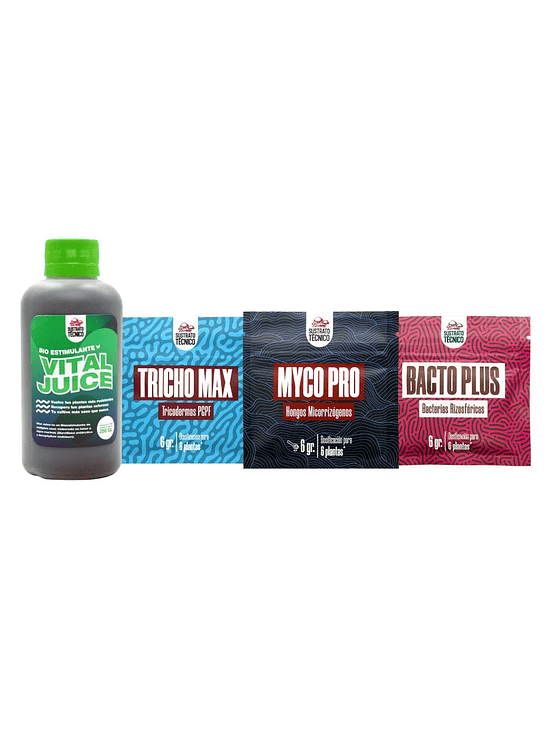 PACK COMPLETO SUSTRATO TÉCNICO 1