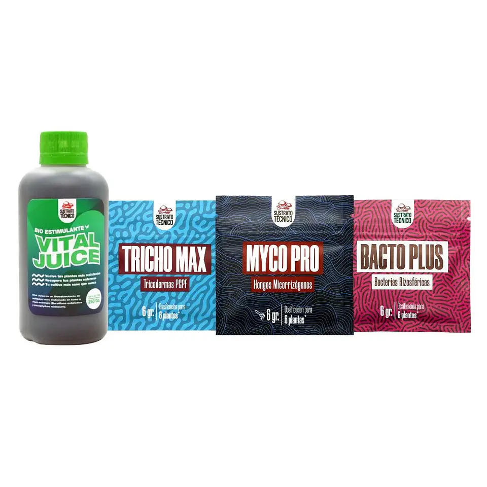 Pack Completo Sustrato Técnico 1