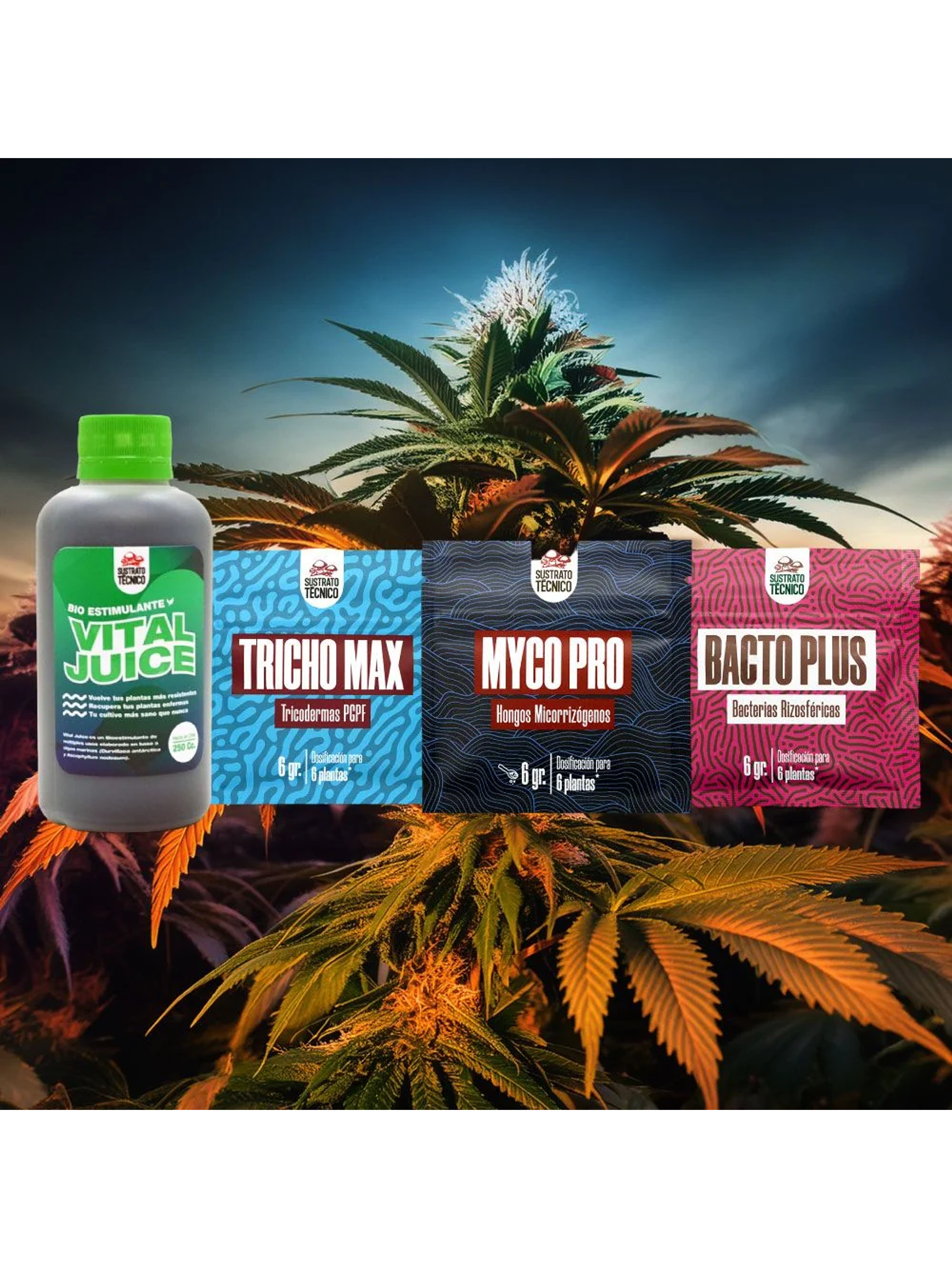 Pack Completo Sustrato Técnico 2