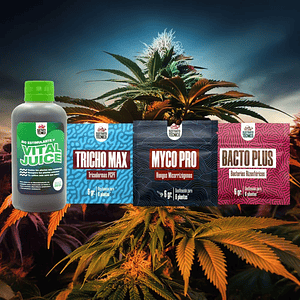 Pack Completo Sustrato Técnico