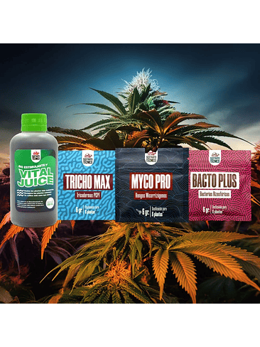 PACK COMPLETO SUSTRATO TÉCNICO 2