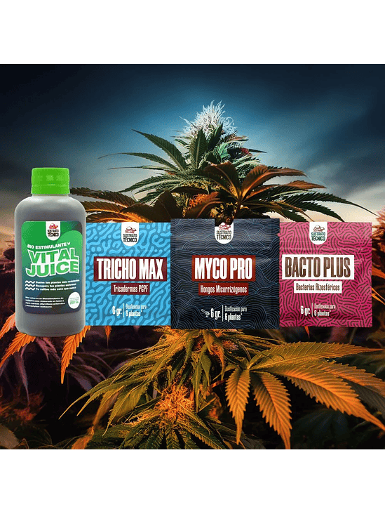 PACK COMPLETO SUSTRATO TÉCNICO 2