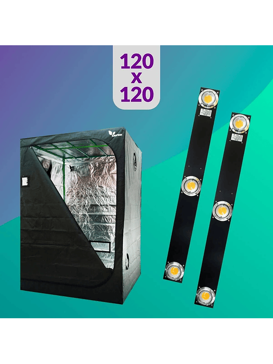 PACK 120X120 DUO LED SPECTRA SLIM - 400W 1