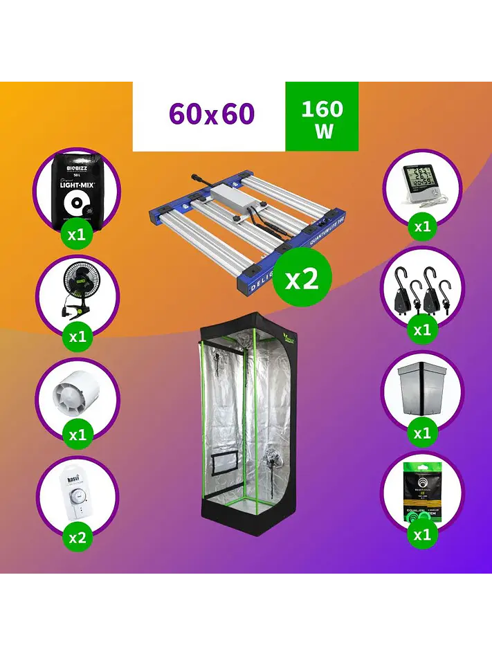 Pack Led Indoor 60X60 Apollo Evo 4 - 120W Full 1