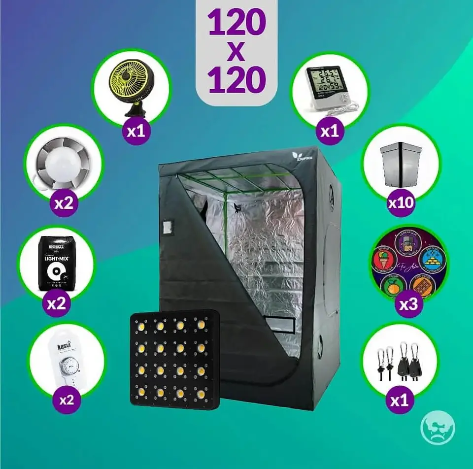 Pack Full 120X120 Apollo Evolution Pro 16 1
