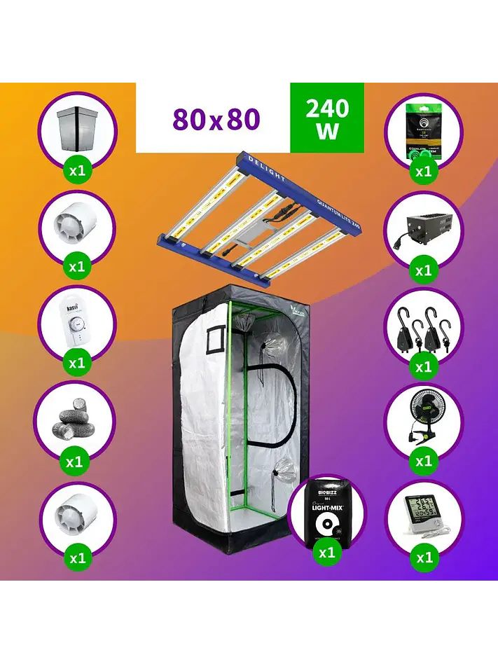 Pack Led Indoor 80X80 Apollo Evo 9 - 280W Full 1