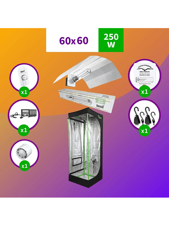 PACK SODIO INDOOR 60X60 BÁSICO HPS - 250W 1