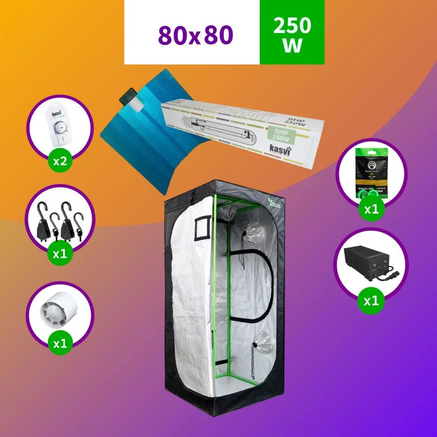 Pack 80X80 Básico Hps - 250W 1