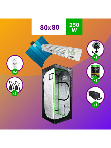 PACK 80X80 MEDIO HPS - 250W 1