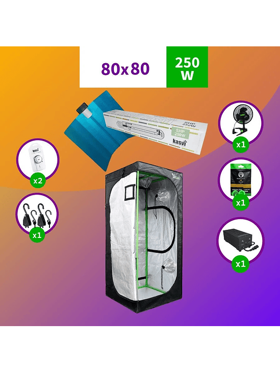 PACK 80X80 MEDIO HPS - 250W 1