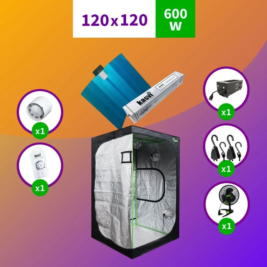 Pack Sodio 120X120 Medio Hps - 600W 1