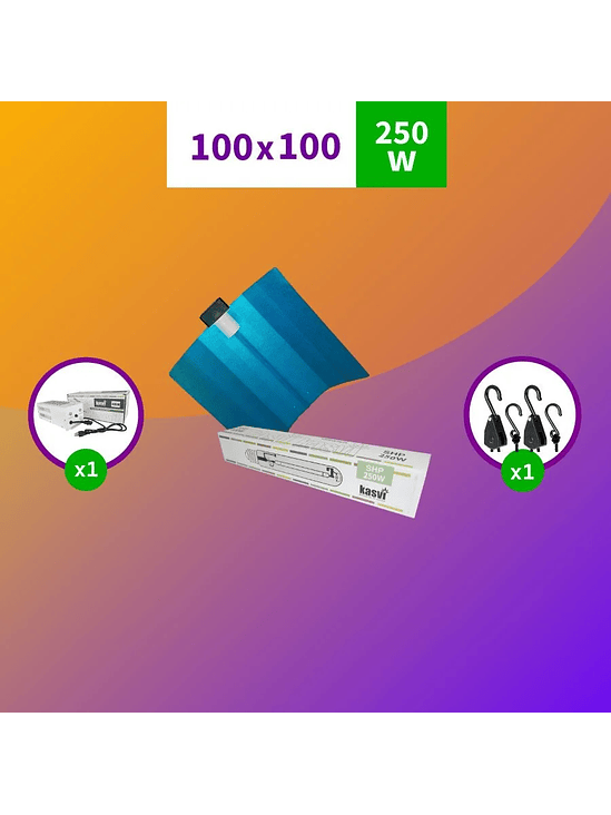 PACK SODIO 250W- KASVI 1