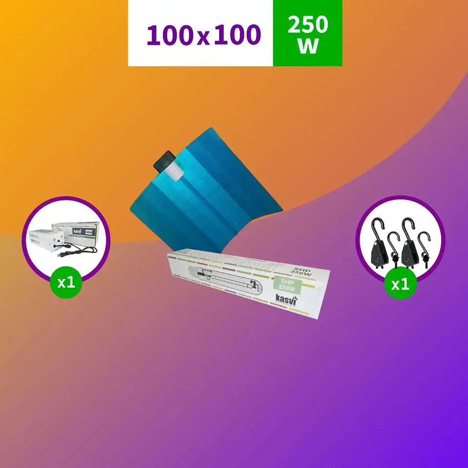 Pack Sodio 250W- Kasvi 1