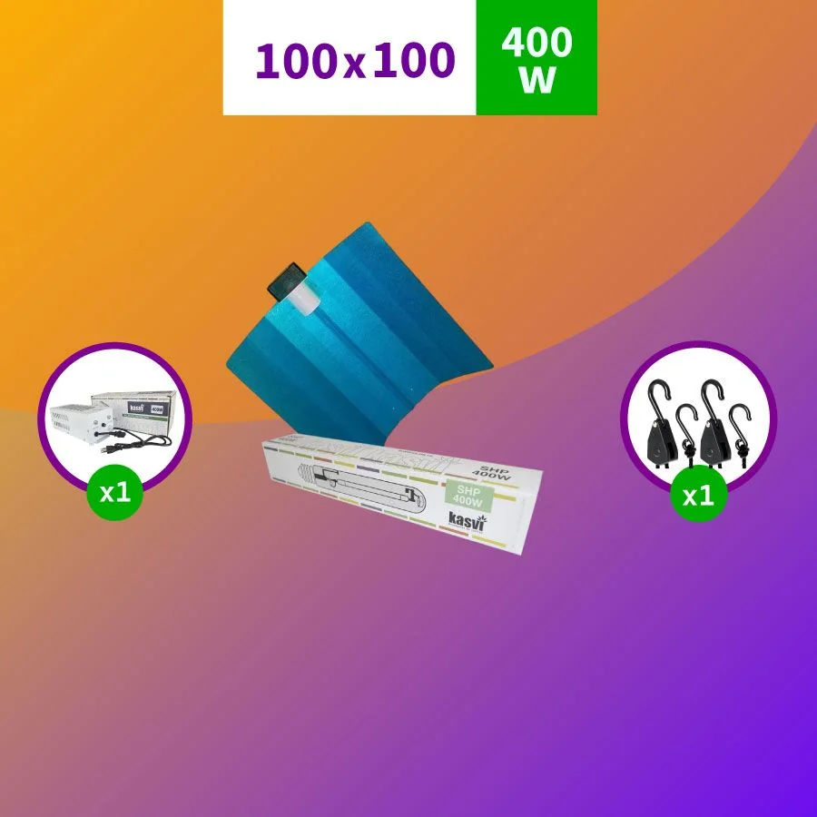 Pack Sodio 400W-Kasvi 1