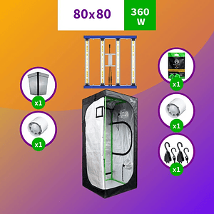Kit Indoor Profesional Apollo Medio 80X80X160 - 300W
