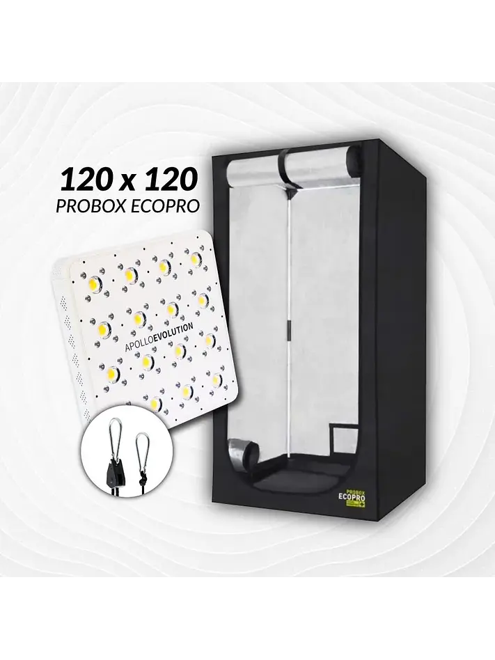 Kit Indoor Apollo Evolution Inicial 120X120X200 - 480W 1