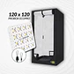 Kit Indoor Apollo Evolution Inicial  - 480W - Miniatura 1
