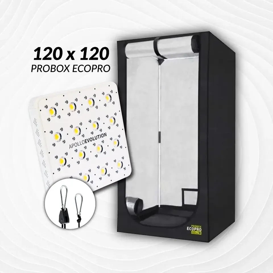 Kit Indoor Apollo Evolution Inicial 120X120X200 - 480W 1