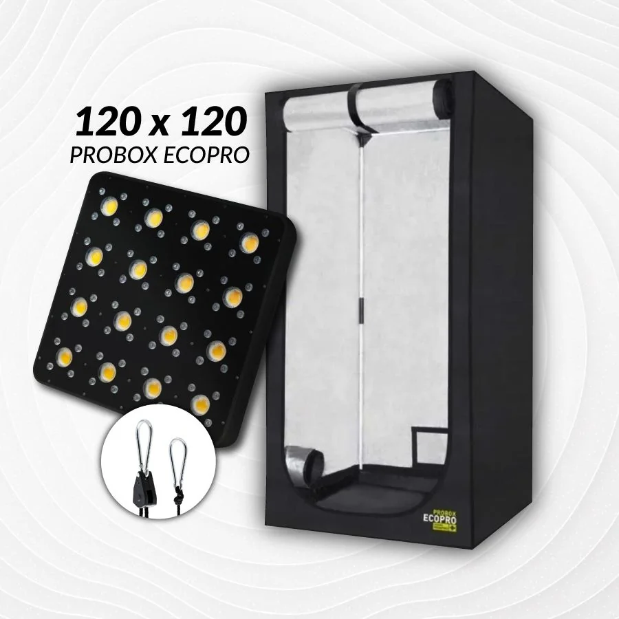 Kit Indoor Profesional Apollo Inicial 120X120X200 - 480W 1