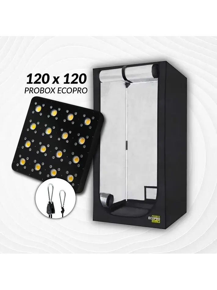 Kit Indoor Profesional Apollo Inicial 120X120X200 - 480W 1