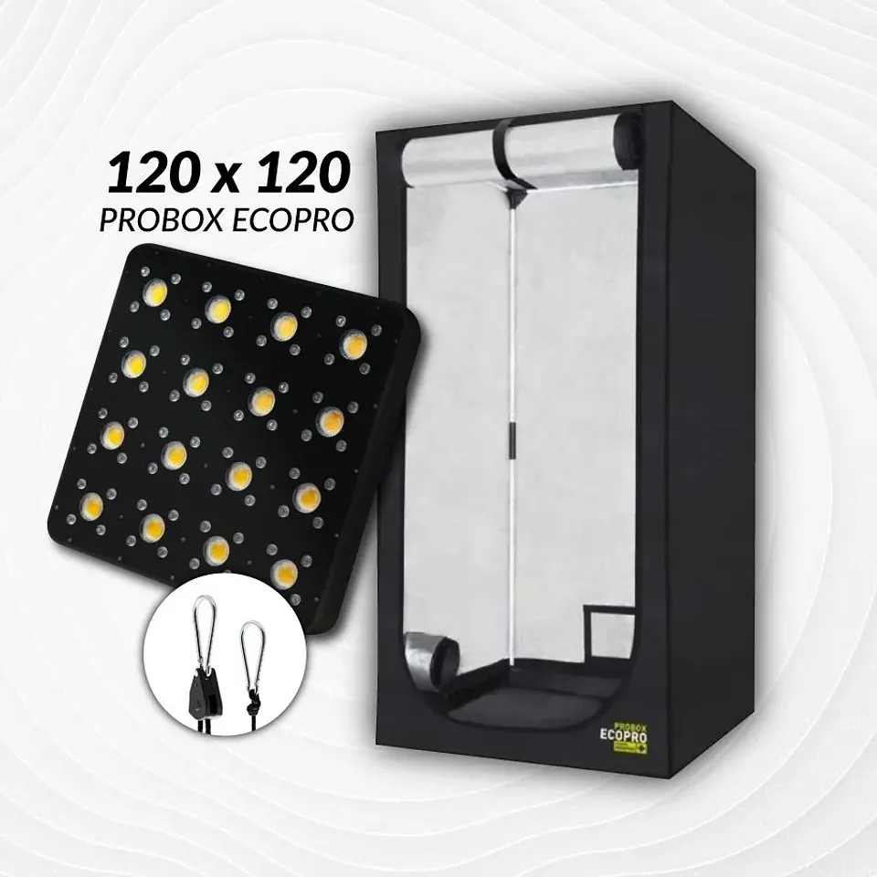 Kit Indoor Profesional Apollo Inicial 120X120X200 - 480W 1