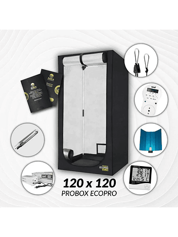 KIT INDOOR SODIO KASVI MEDIO 120X120X200 - 600W 1