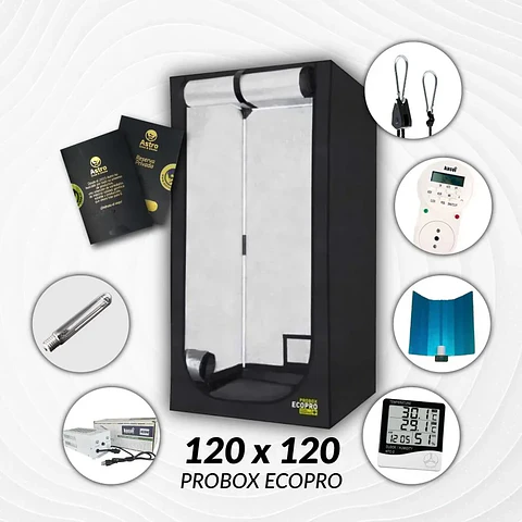 Kit Indoor Sodio Kasvi Medio 120X120X200 - 600W