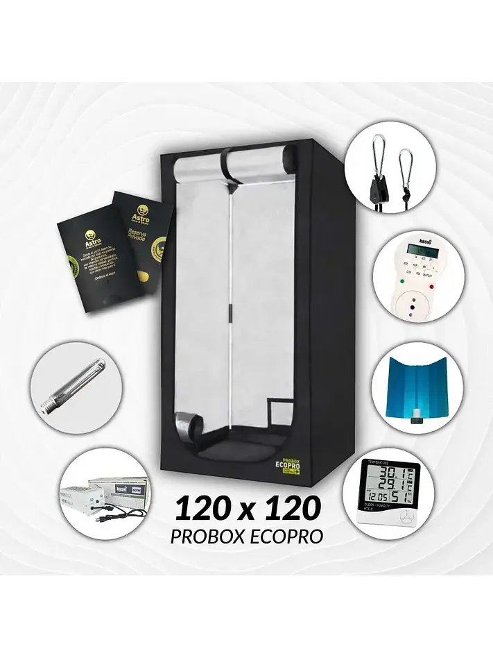 Kit Indoor Sodio Kasvi Medio 120X120X200 - 600W 1