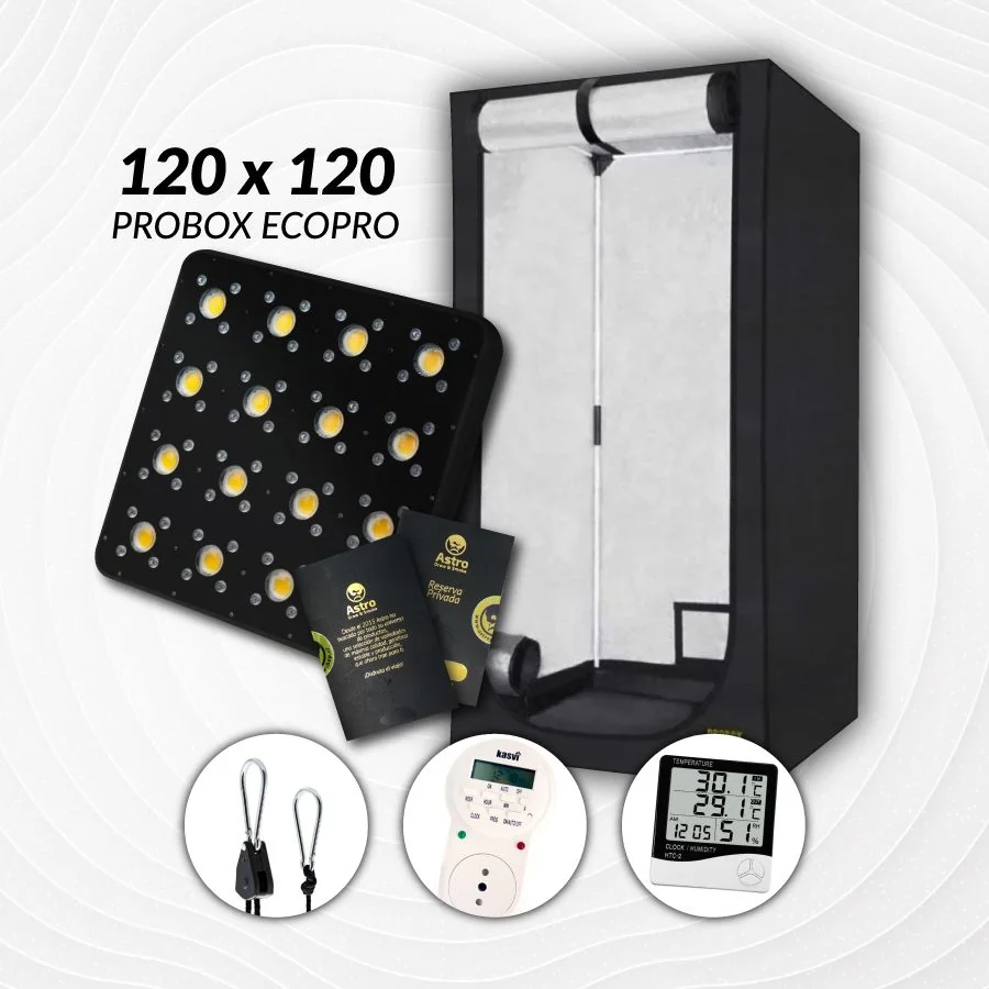 Kit Indoor Profesional Apollo Medio 120X120X200 - 480W 1