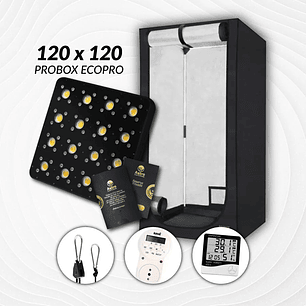 KIT INDOOR PROFESIONAL APOLLO MEDIO 120X120X200 - 480W