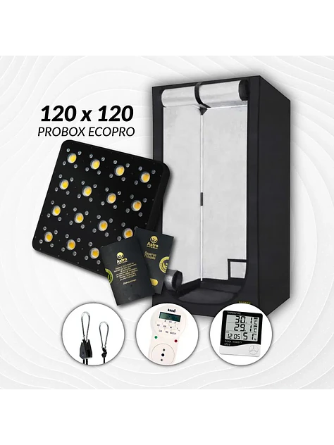 Kit Indoor Profesional Apollo Medio 120X120X200 - 480W 1