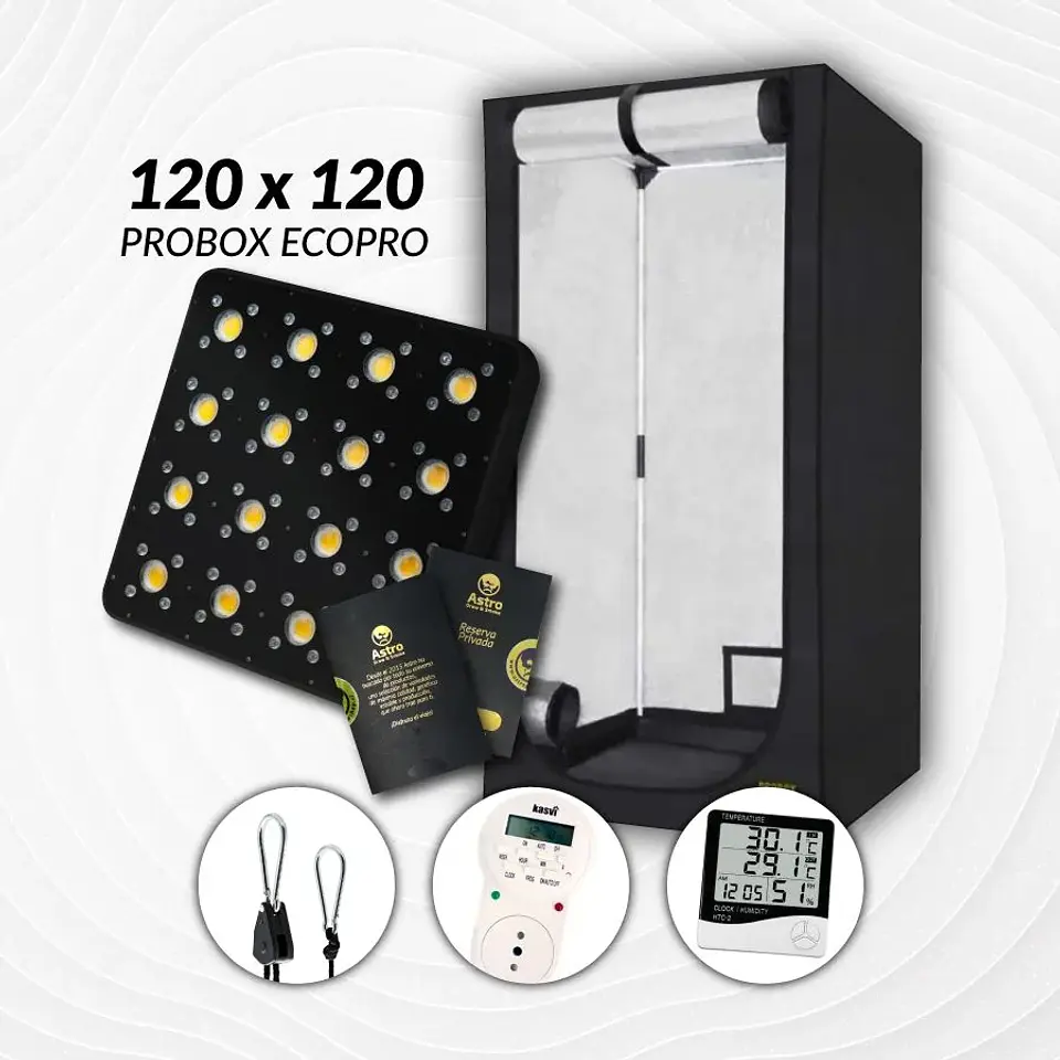 Kit Indoor Profesional Apollo Medio 120X120X200 - 480W 1