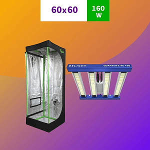 Kit Indoor Inicial Apollo Evolution 60X60X160 120W