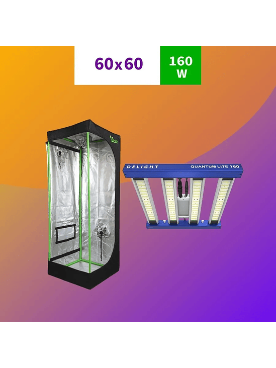 KIT INDOOR INICIAL APOLLO EVOLUTION 60X60X160 120W 1